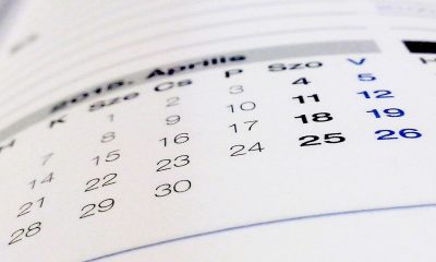 book, calendar, paper, calendar, calendar, calendar, calendar, calendar