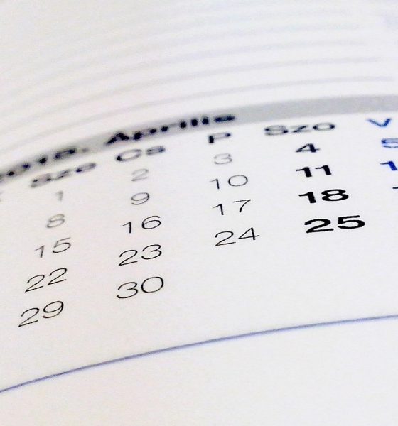 book, calendar, paper, calendar, calendar, calendar, calendar, calendar